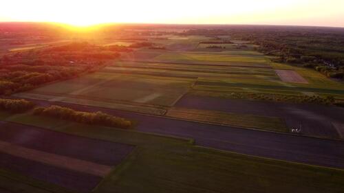 Sunset fields